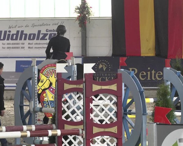 Hallenspringturnier Karlsfeld 2022