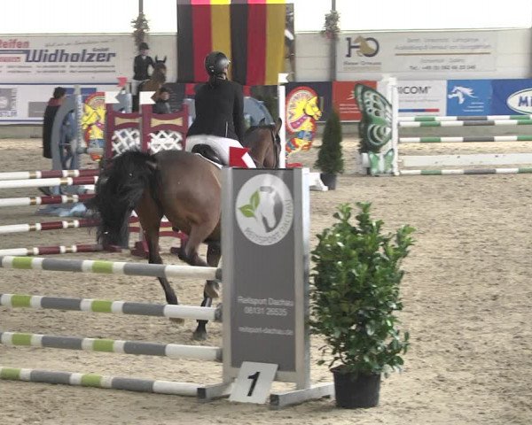 Hallenspringturnier Karlsfeld 2022