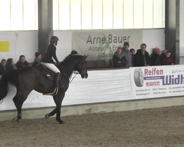 Hallenspringturnier Karlsfeld 2022