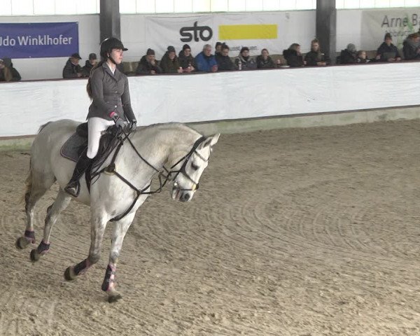 Hallenspringturnier Karlsfeld 2022