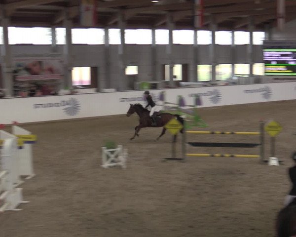 Hallenjumping Prussendorf 2022