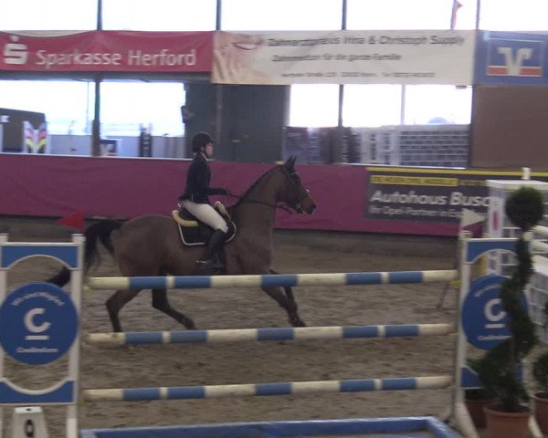 Bismarck Indoors Hallenturnier Vlotho-Exter 2022
