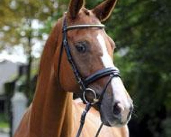 broodmare Media Luna 2 (Rhinelander, 1999, from Münchhausen)