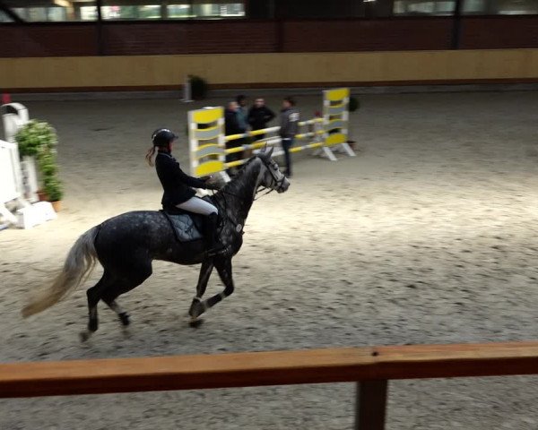 Springturnier Hamburg-Friedrichshulde/Sylva Kuhrt 2022