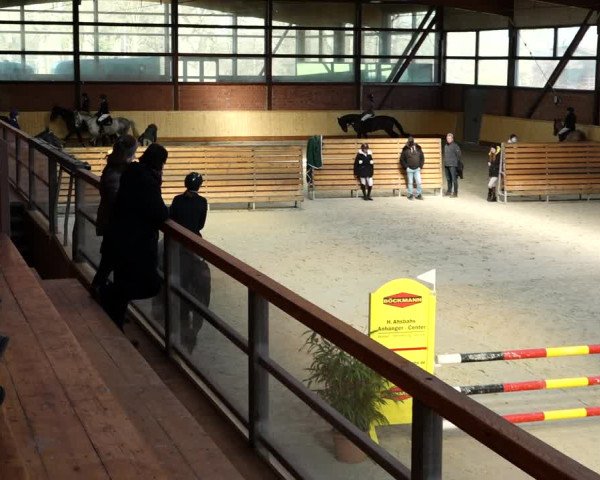 Springturnier Hamburg-Friedrichshulde/Sylva Kuhrt 2022