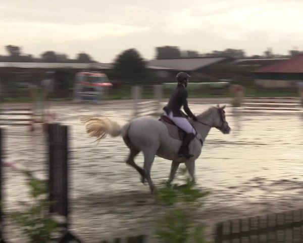 Reitturnier Schülp / Rendsburg 2021