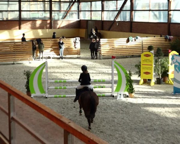 Springturnier Hamburg-Friedrichshulde/Sylva Kuhrt 2022