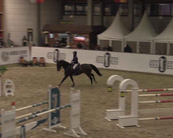 Hallenjumping Prussendorf 2022