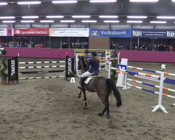 Bismarck Indoors Hallenturnier Vlotho-Exter 2022