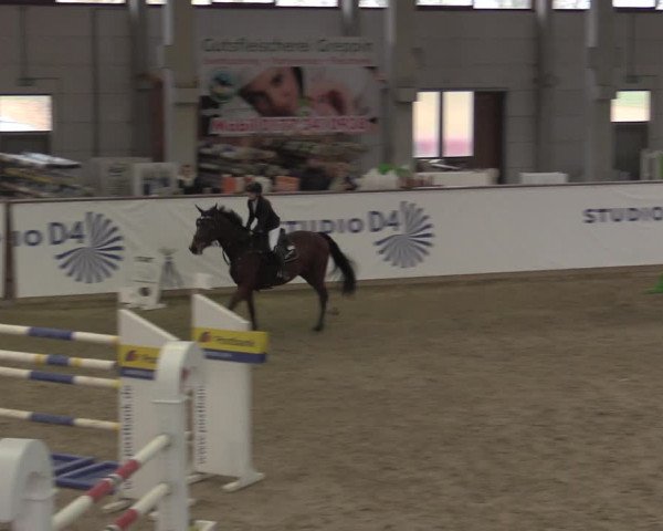 Hallenjumping Prussendorf 2022