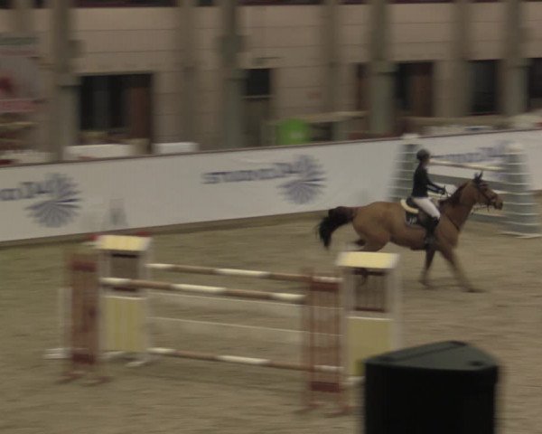 Hallenjumping Prussendorf 2022