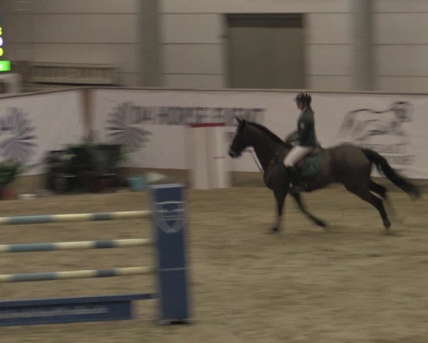 Hallenjumping Prussendorf 2022