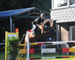 jumper Elubeda (Italian Warmblood, 2003, from Loro Piana Elkintot)