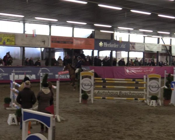 Bismarck Indoors Hallenturnier Vlotho-Exter 2022