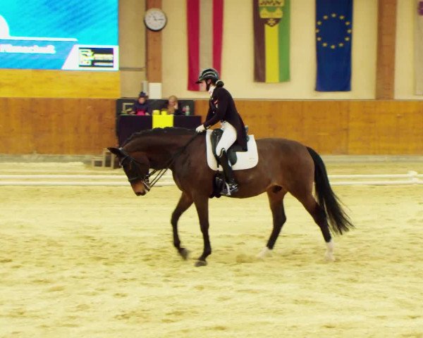 Dressurturnier Weikersdorf am Steinfelde 2022