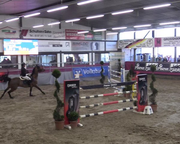 Bismarck Indoors Hallenturnier Vlotho-Exter 2022