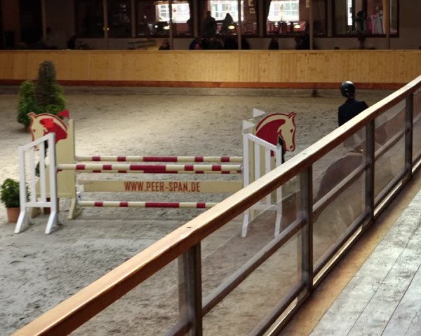 Springturnier Hamburg-Friedrichshulde/Sylva Kuhrt 2022
