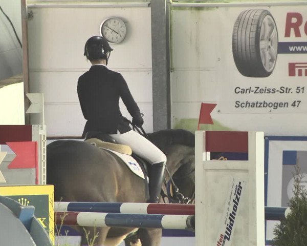 Hallenspringturnier Karlsfeld 2022