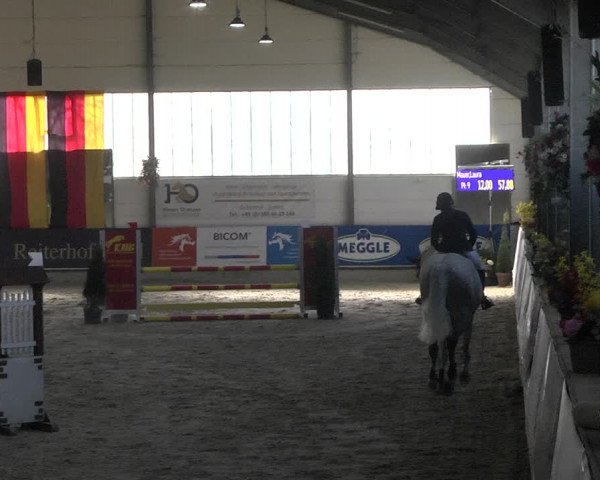 Hallenspringturnier Karlsfeld 2022