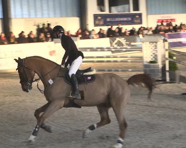 Hallenspringturnier Karlsfeld 2022