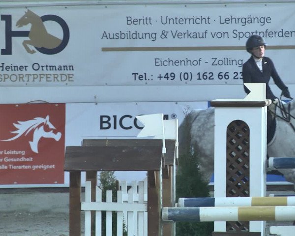 Hallenspringturnier Karlsfeld 2022