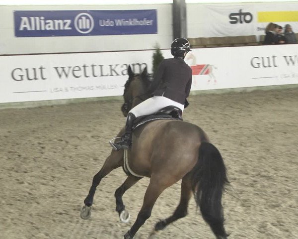 Hallenspringturnier Karlsfeld 2022
