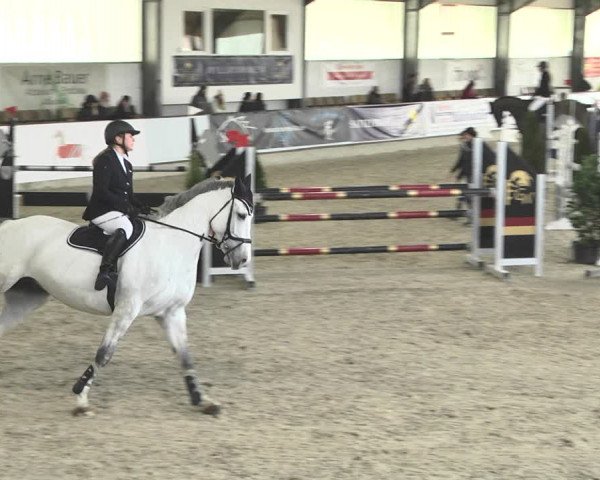 Hallenspringturnier Karlsfeld 2022