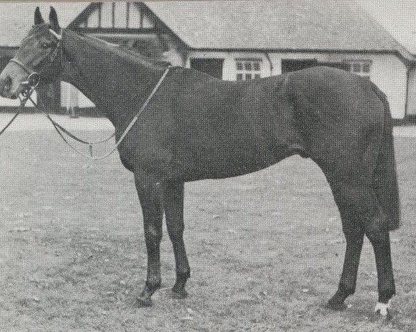 Deckhengst Corby xx (Englisches Vollblut, 1972, von Round Table xx)