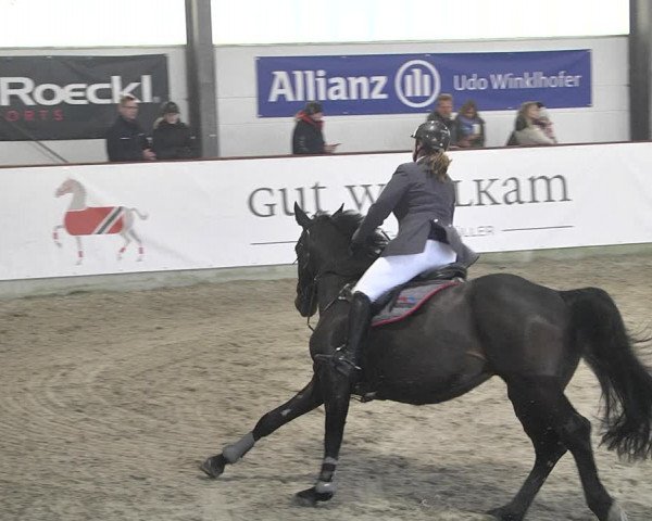 Hallenspringturnier Karlsfeld 2022