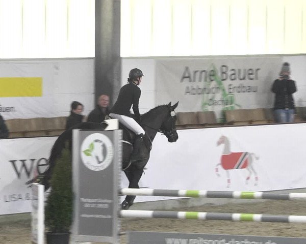 Hallenspringturnier Karlsfeld 2022