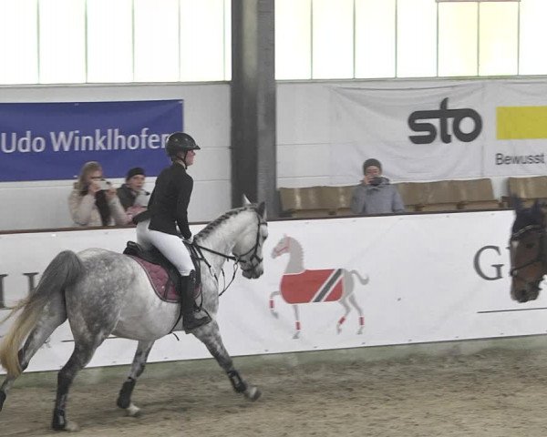 Hallenspringturnier Karlsfeld 2022