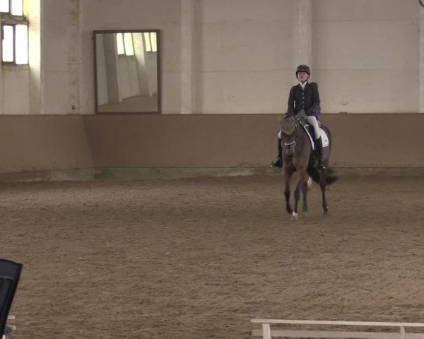 Ponycup Prussendorf 2022