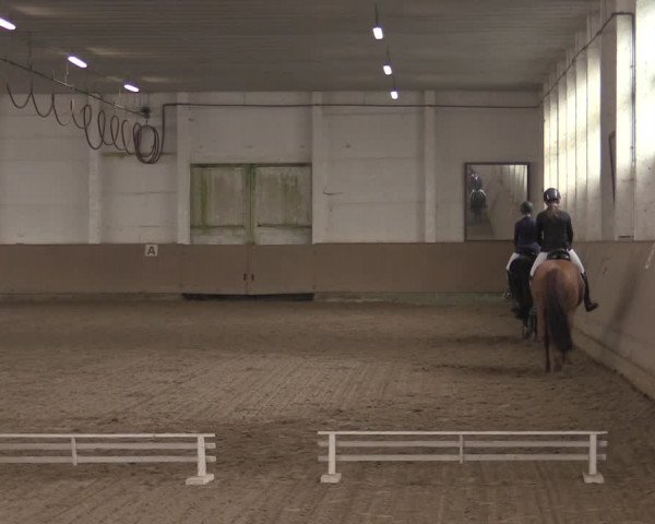 Ponycup Prussendorf 2022