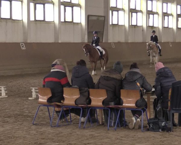 Ponycup Prussendorf 2022