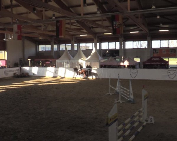 Ponycup Prussendorf 2022