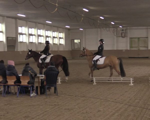 Ponycup Prussendorf 2022