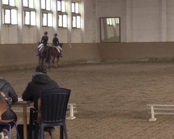 Ponycup Prussendorf 2022