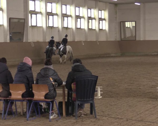 Ponycup Prussendorf 2022