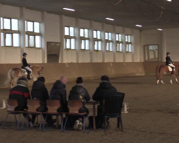 Ponycup Prussendorf 2022