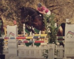 dressage horse Rednex 23 (Rhinelander, 2001, from Rex Fritz)