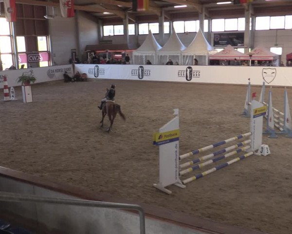 Ponycup Prussendorf 2022