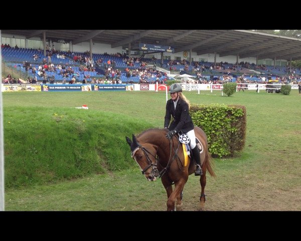 jumper Anka 320 (Zweibrücken, 2002, from Acorath)