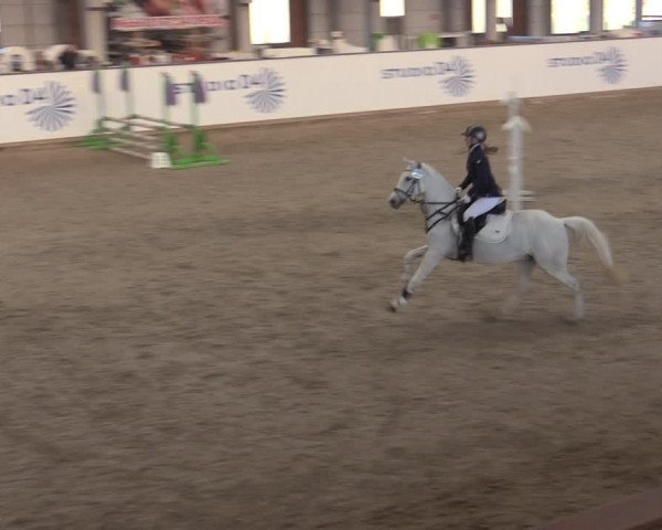 Ponycup Prussendorf 2022
