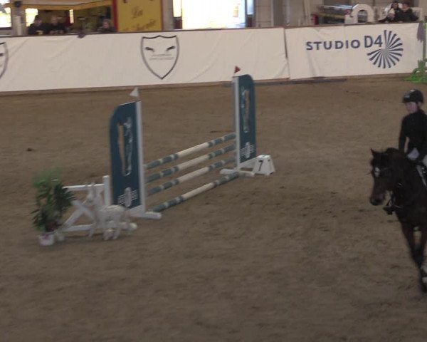 Ponycup Prussendorf 2022