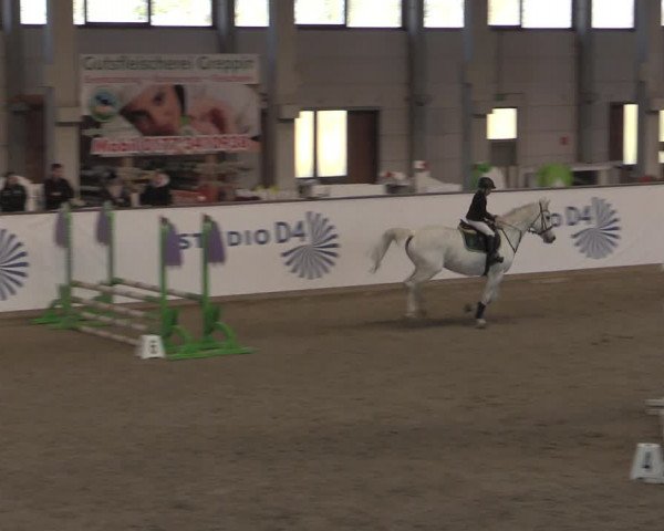 Ponycup Prussendorf 2022
