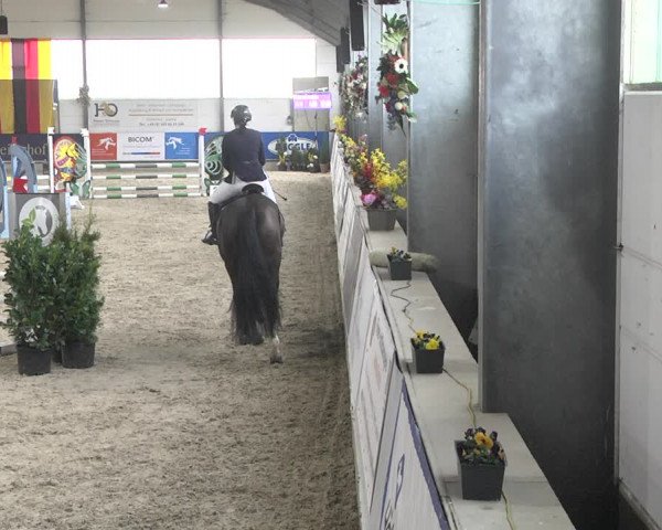 Hallenspringturnier Karlsfeld 2022