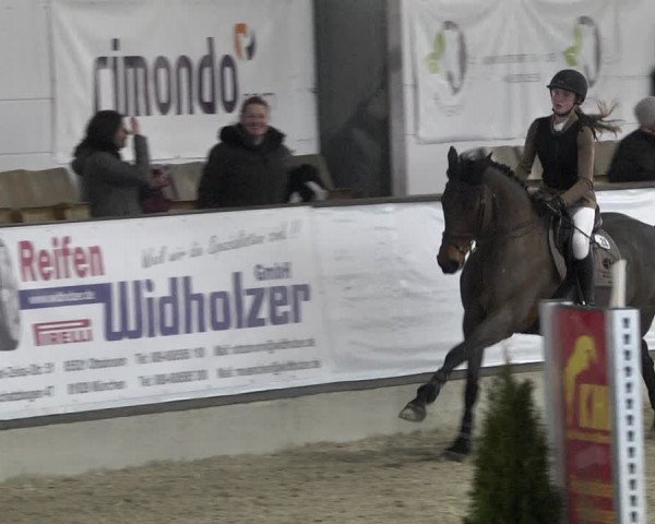 Hallenspringturnier Karlsfeld 2022