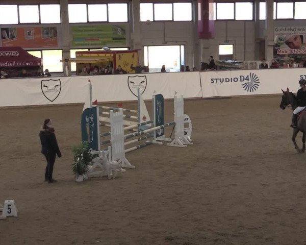 Ponycup Prussendorf 2022