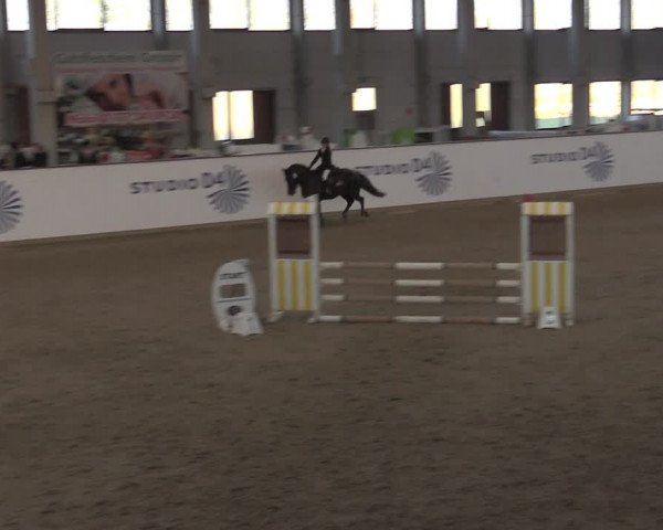 Ponycup Prussendorf 2022