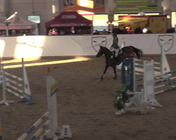 Ponycup Prussendorf 2022